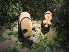-长江文明馆