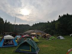 -武陵山森林公园