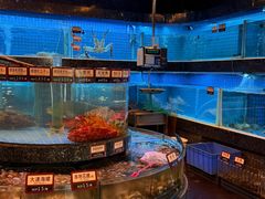 -金悦轩海鲜城(渔人码头店)