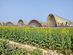 -中国天府农业博览园