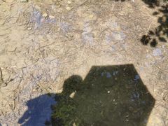 -东天目山风景区