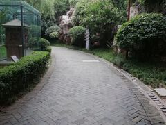 -西安曲江寒窑遗址公园