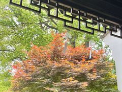 -雅达·阳羡溪山小镇中心