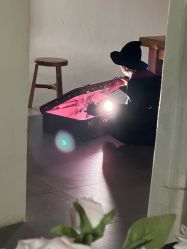 点击看大图 -七色田儿童摄影(静安店)