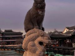 -锦溪古镇