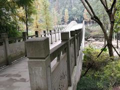 -重庆彩云湖湿地公园