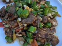 -鲤鱼塘农家山庄