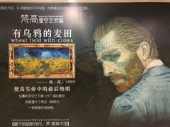 -梵高星空艺术馆(北京旗舰店)