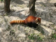 -宁波野生动物园