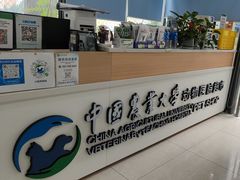 -中国农业大学动物医院
