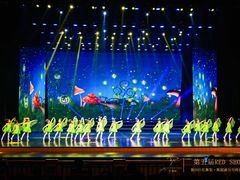 -红舞鞋舞蹈教育(近江校区)