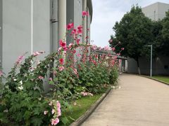 -安徽大学(磬苑校区)