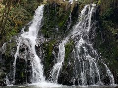 -高黎贡山自然公园