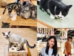 -猫和宫(六道口店)