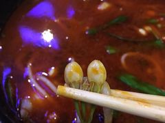 -滇越乘象云南餐厅(豆各庄店)