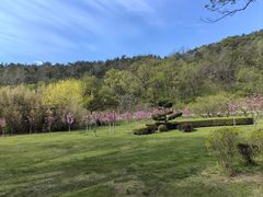 -棒棰岛宾馆景区