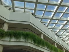 -广州白天鹅宾馆