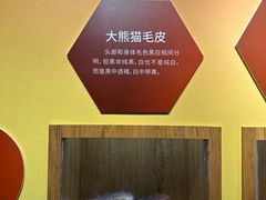 -中国大熊猫保护研究中心雅安碧峰峡基地