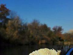 original-Lady M Cake Boutique(麦迪逊大道店)