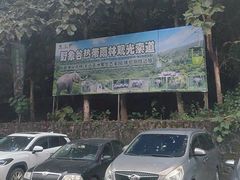 -野象谷景区