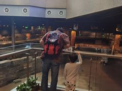 -元代水闸遗址博物馆