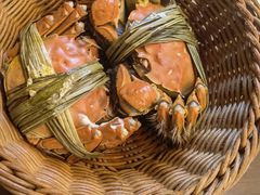 -蟹村草堂·苏式园林人文农家·大闸蟹