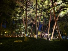 -温江公园