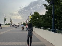 -迪士尼乐园停车场