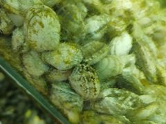 -四海鲜渔家菜(黄金海岸店)