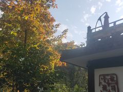-龙井壹号·茶缘山景宴(龙井村店)