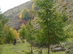 -苏木山森林公园