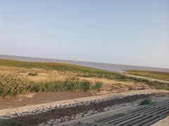 -春花秋色城市公园