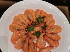 -湛江民大喜来登酒店-采悦轩中餐厅