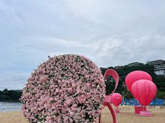 -小梅沙海滨乐园