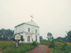 -紫颐香薰山谷景区