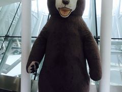 -济州岛泰迪熊博物馆