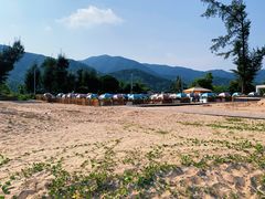 -西涌国际滨海旅游区