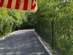 -中国扬子鳄村