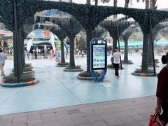 -海合安成都极地海洋公园