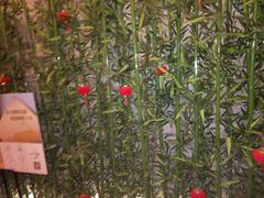 -Zsmart智尚酒店(上海北外滩四川北路东宝兴路地铁站店)