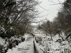 -龙苍沟森林公园