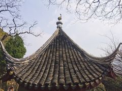 -香雪海