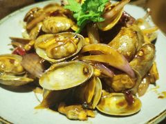 -并州大牌档之醉轻尘