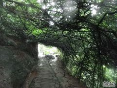 -雁荡山三折瀑景区