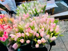 -循礼门鲜花花市(武汉循礼门店)