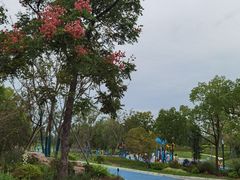 -美兰湖景区