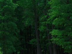 -四明湖