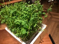豆苗-捞王锅物料理(上海世茂广场店)