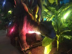 -恐龙探索乐园(磁器口店)