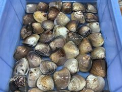 -山珍鲜牛肉火锅本地老字号(汕中老店)